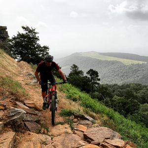 Image post by @bikerumor on Instagram