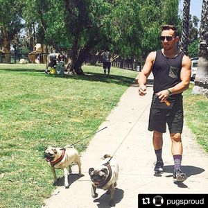 Image post by @mikechandlermma on Instagram