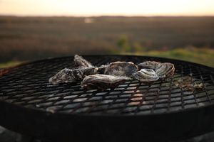 Image post by @toadfishoutfitters on Instagram