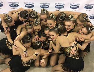Image post by @lhsflyerettes on Instagram