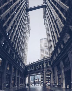 Image post by @willtrogdon on Instagram
