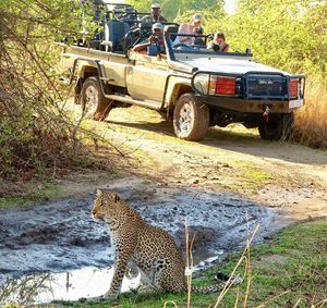 Image post by @chiawasafaris on Instagram