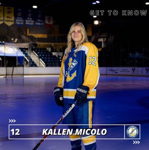 Image post by @lakestatewomenshockey on Instagram