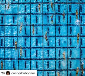 Image post by @arenausa on Instagram