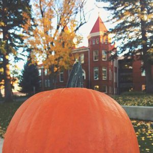 Image post by @nauflagstaff on Instagram