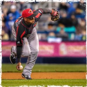 Image post by @rocredwings on Instagram