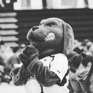 Image post by @umbclife on Instagram