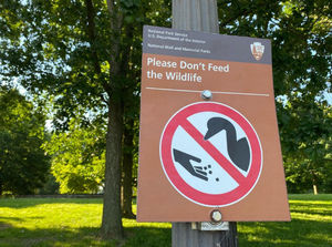 Image post by @NatlParkService on Twitter/X