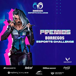 Image post by @borregosgaming on Instagram