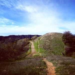 Image post by @uclaxc on Instagram