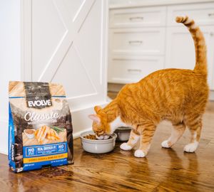 Image post by @evolvepetfood on Instagram