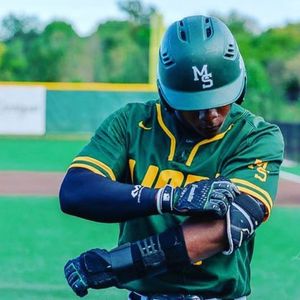 Image post by @rawlingstigers on Instagram