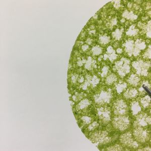 Image post by @ryanpeterspgh on Instagram