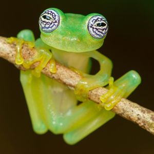 Image post by @animalplanet on Instagram