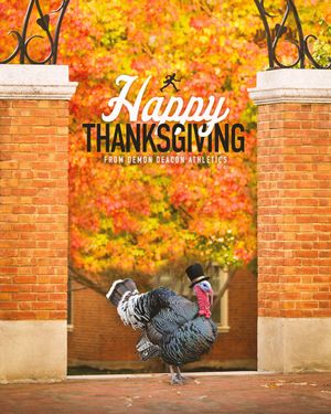 Image post by @DemonDeacons on Twitter/X