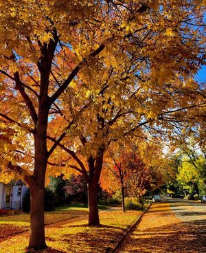 Image post by @boise_bucketlist on Instagram