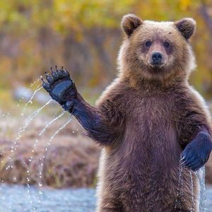 Image post by @nationalparkservice on Instagram