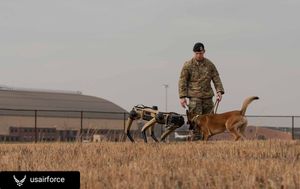Image post by @af_academy on Instagram