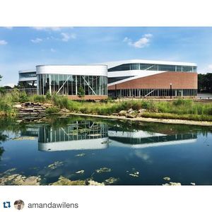 Image post by @umsl on Instagram