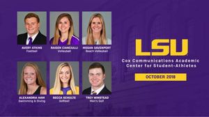 Image post by @lsubeachvb on Instagram