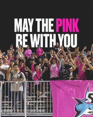 Image post by @miasharksrugby on Instagram