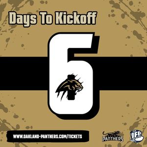 Image post by @panthersifl on Instagram