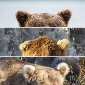Image post by @nationalparkservice on Instagram