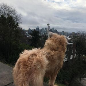 Image post by @amandakl on Instagram