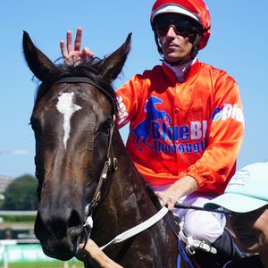 Image post by @australianturfclub on Instagram