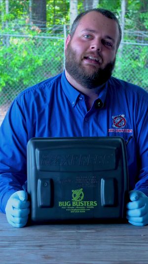 Video post by @bugbustersusa on TikTok