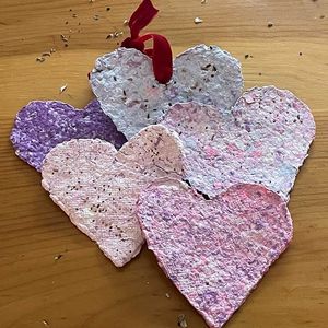 Image post by @kidsgardening on Instagram