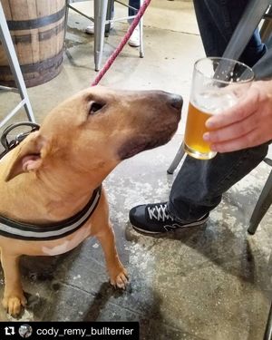 Image post by @navigationbrewingco on Instagram