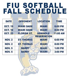 Image post by @fiusoftball on Instagram