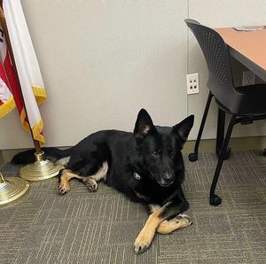 Image post by @vcsheriff on Instagram