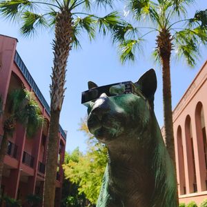 Image post by @collegeofcharleston on Instagram