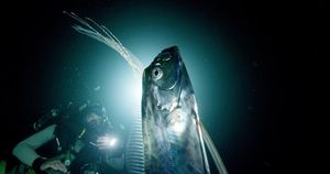 Image post by @animalplanet on Instagram
