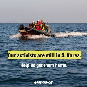 Image post by @Greenpeace on Twitter/X