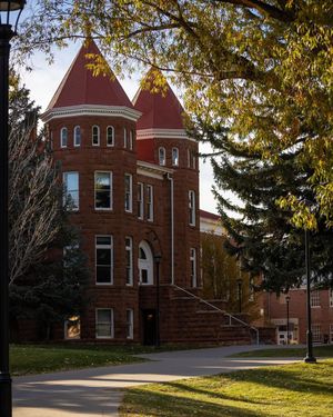 Image post by @naualumni on Instagram