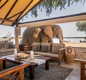 Image post by @chiawasafaris on Instagram