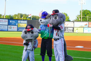 Image post by @carolinamudcats on Instagram