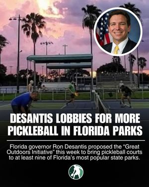 Image post by @thepickleballclinic on Instagram