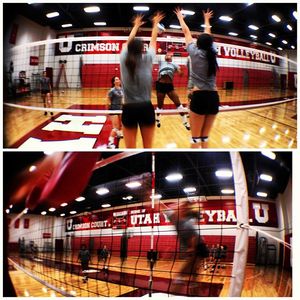 Image post by @utahvolleyball on Instagram