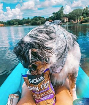 Image post by @evolvepetfood on Instagram