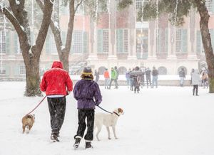 Image post by @collegeofcharleston on Instagram