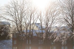 Image post by @quinnipiacu on Instagram