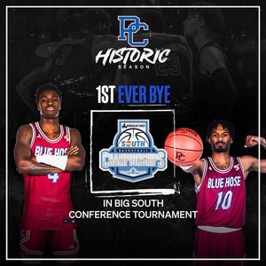Image post by @bluehosembb on Instagram