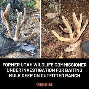 Image post by @outdoor_life on Instagram