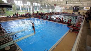 Image post by @utahswimdive on Instagram