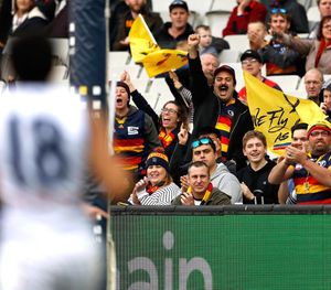 Image post by @adelaide_fc on Instagram