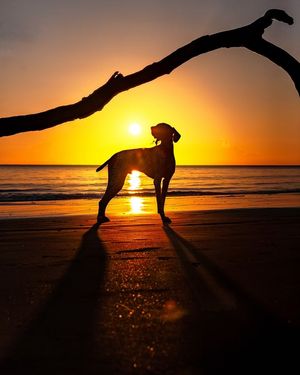 Image post by @JustinPotterPhotography on Facebook